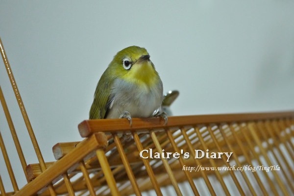 20251024-ls44m 20251024-ls44m