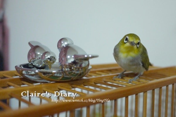 20251024-mp29m 20251024-mp29m