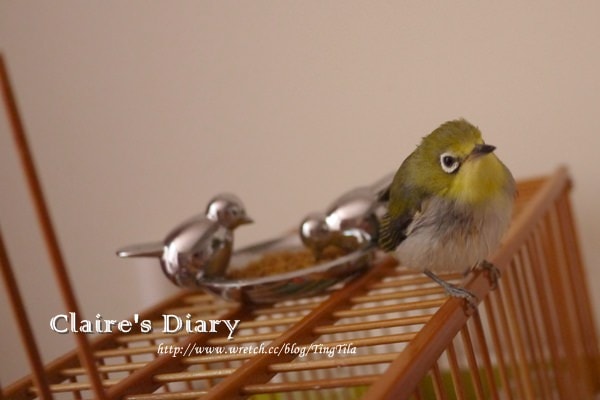 20251024-ox1jg 20251024-ox1jg