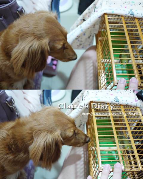 20251024-pcop7 20251024-pcop7