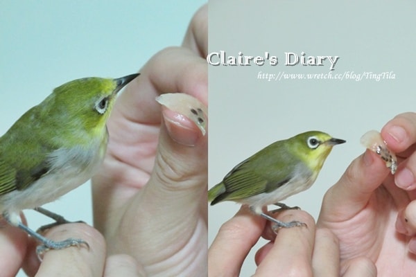 20251024-pxk68 20251024-pxk68