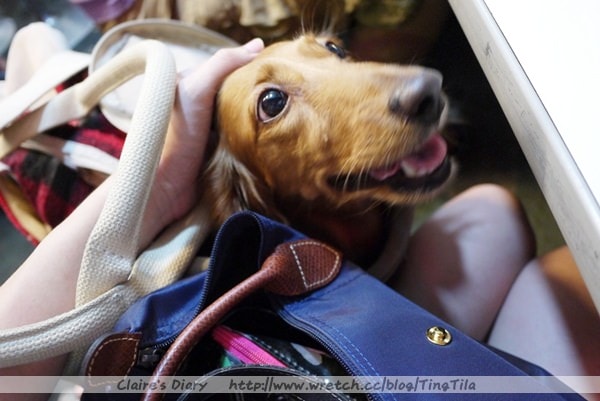 20251024-ratjt 20251024-ratjt