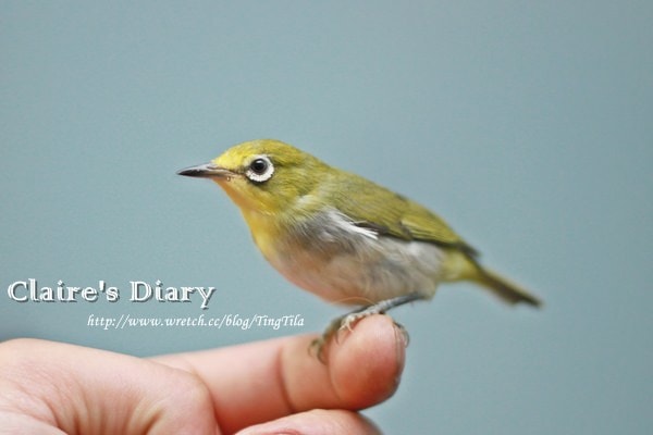 20251024-u8jmx 20251024-u8jmx