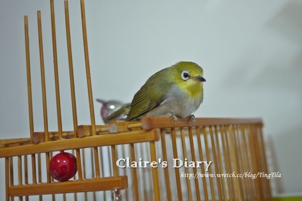 20251024-uafch 20251024-uafch