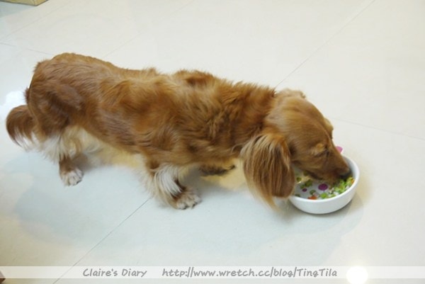 20251024-xp97r 20251024-xp97r