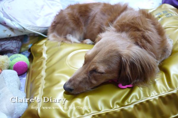 20251024-y0gbm 20251024-y0gbm