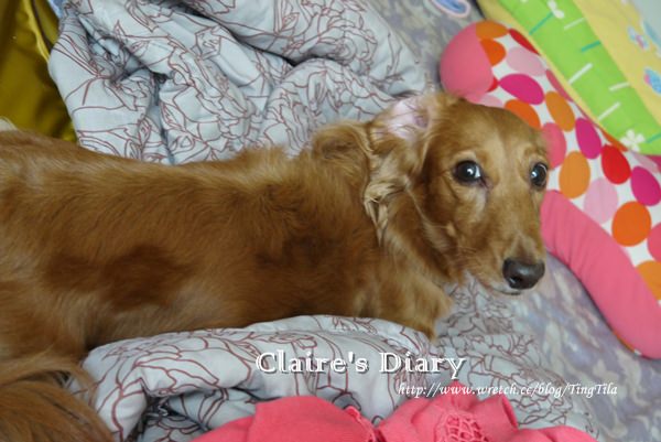 20251024-ydilc 20251024-ydilc