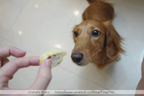 20251024-z5urs 20251024-z5urs