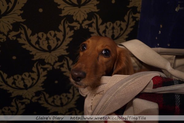 20251024-6stmq 20251024-6stmq