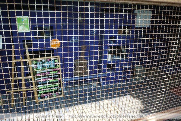 20251024-g4urt 20251024-g4urt