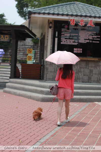 20251024-nzztf 20251024-nzztf