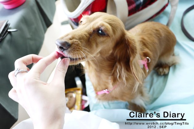 20251024-xg2tt 20251024-xg2tt