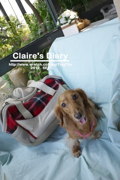 20251024-zn04g 20251024-zn04g