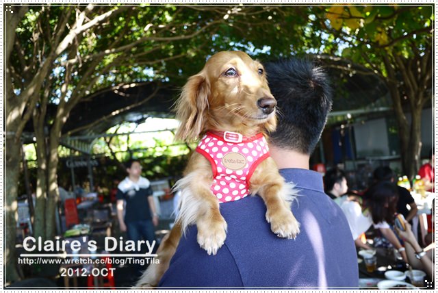 20251024-dfnol 20251024-dfnol