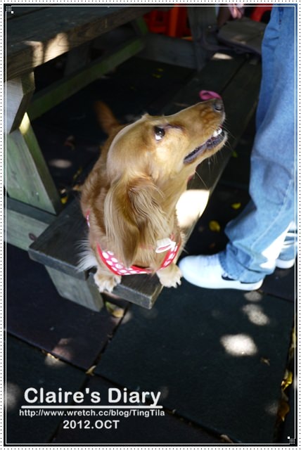 20251024-fce5w 20251024-fce5w