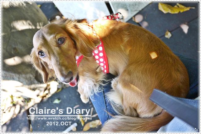 20251024-ff7ph 20251024-ff7ph