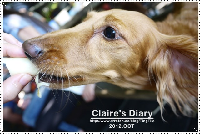 20251024-iy0qz 20251024-iy0qz