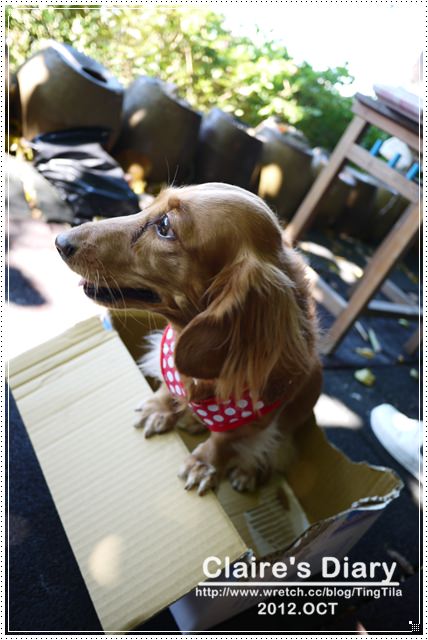 20251024-mmoz6 20251024-mmoz6