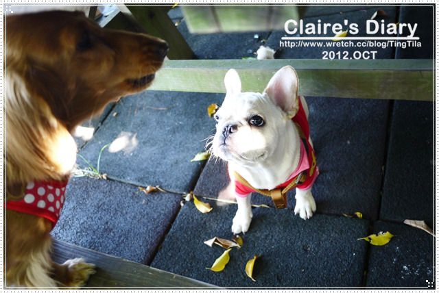 20251024-ni4ec 20251024-ni4ec