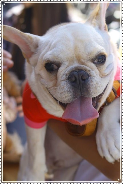 20251024-nqc3a 20251024-nqc3a