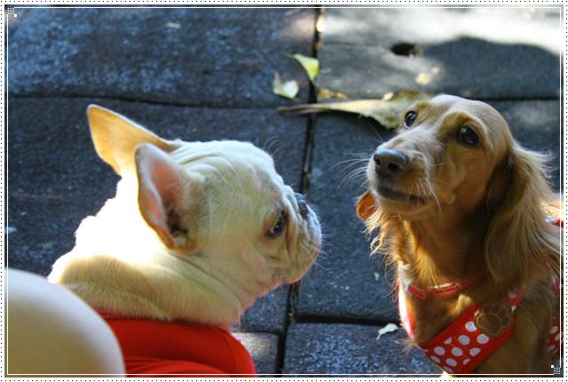 20251024-o0wee 20251024-o0wee