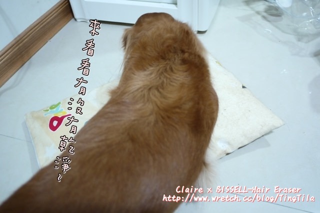 20251024-mshq6 20251024-mshq6