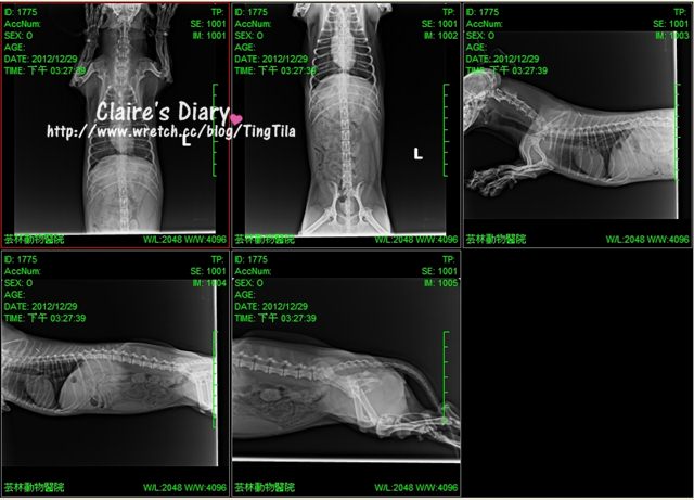 20251024-25lq6 20251024-25lq6