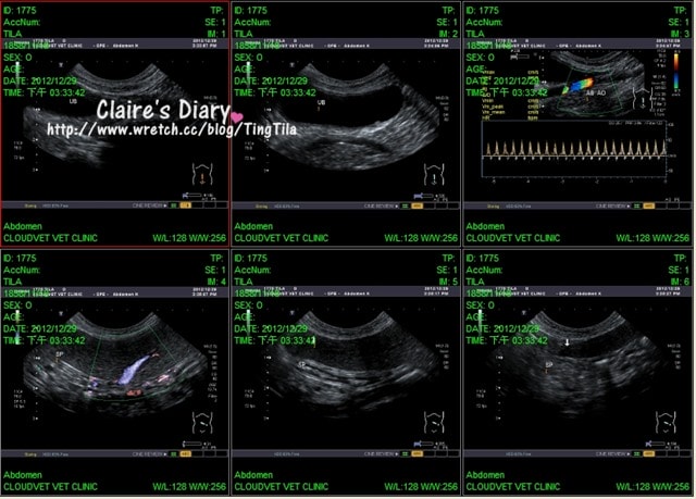 20251024-7s767 20251024-7s767