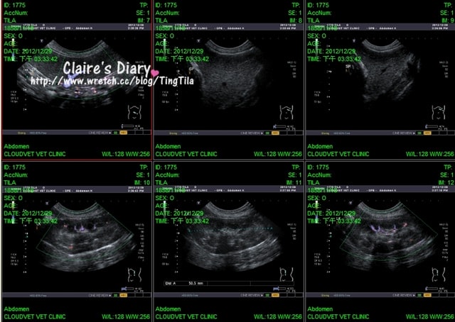 20251024-8mntf 20251024-8mntf