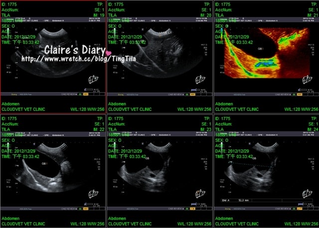 20251024-cxmp4 20251024-cxmp4