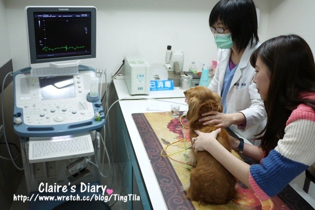 20251024-dgy3l 20251024-dgy3l