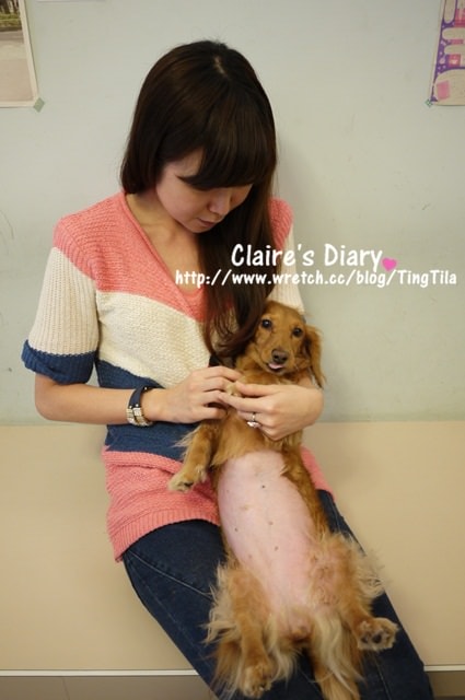 20251024-gogj9 20251024-gogj9