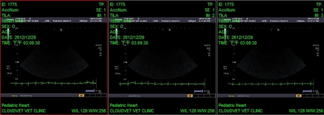 20251024-r451h 20251024-r451h