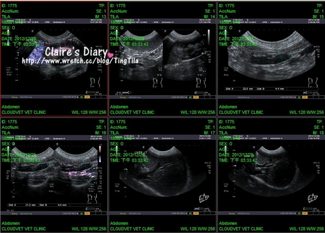 20251024-vloll 20251024-vloll