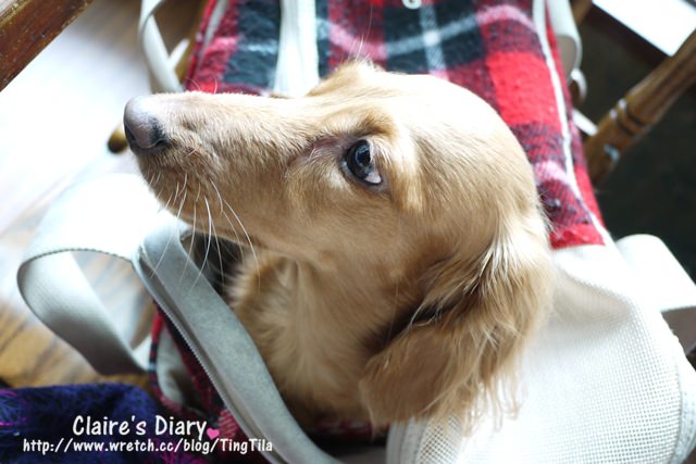 20251024-c54ke 20251024-c54ke