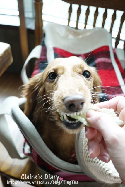 20251024-ezjfe 20251024-ezjfe