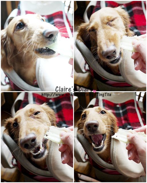 20251024-jwp6n 20251024-jwp6n