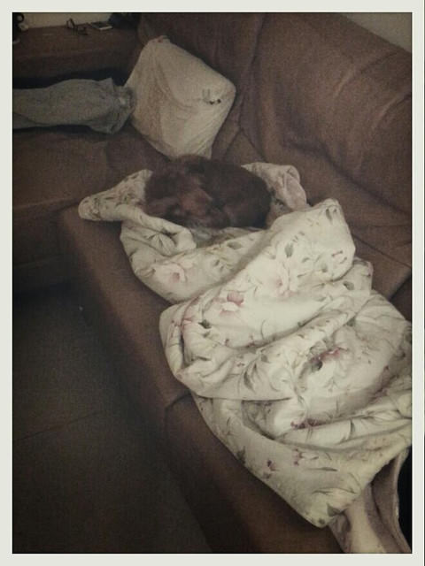 20251024-at87w 20251024-at87w