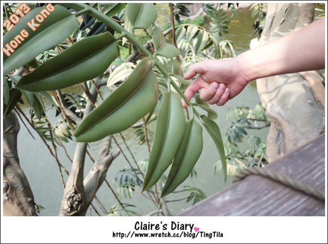 20251024-bwl9d 20251024-bwl9d