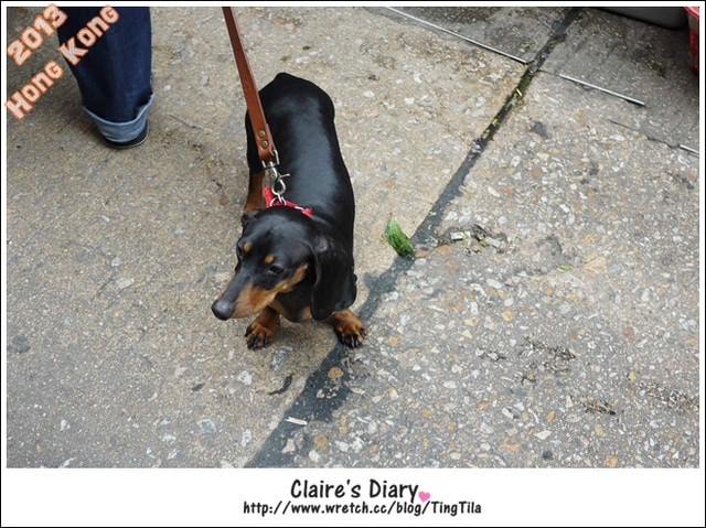 20251024-yw9vq 20251024-yw9vq