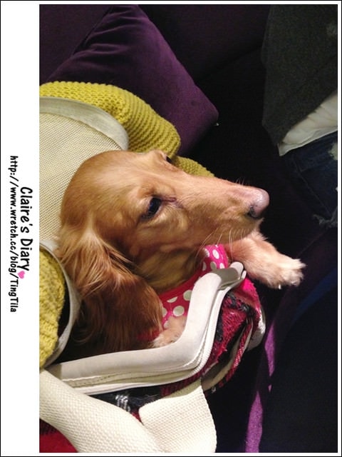 20251024-ra0g0 20251024-ra0g0