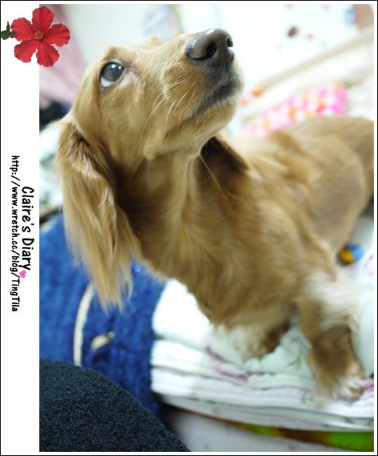 20251024-zowq9 20251024-zowq9