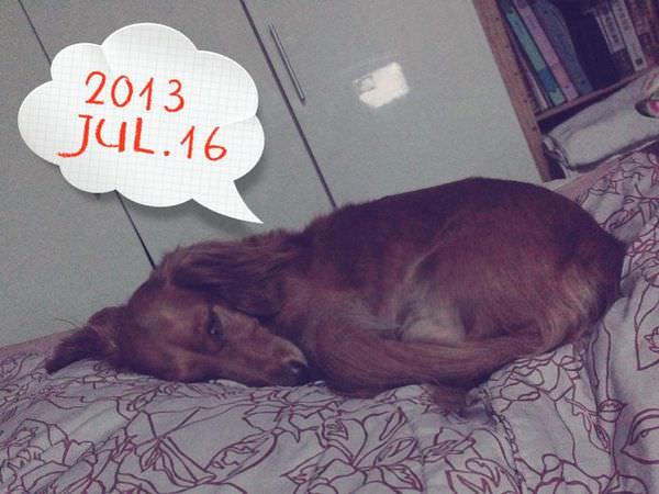 20251024-0yjq3 20251024-0yjq3