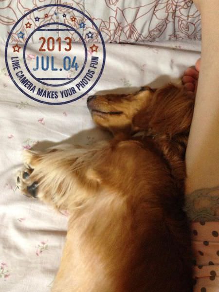 20251024-1719m 20251024-1719m