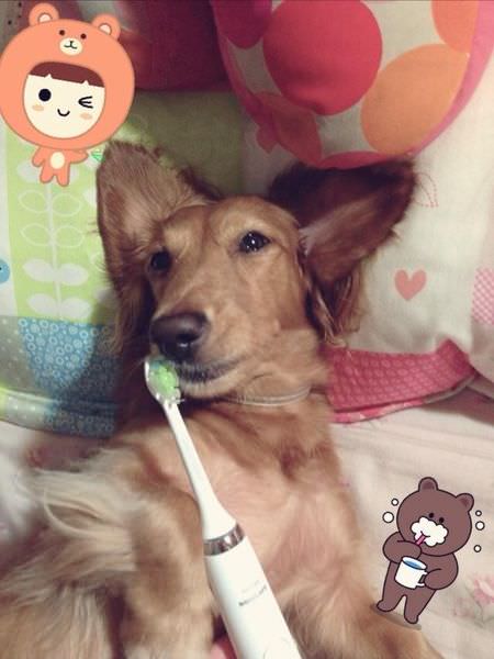 20251024-17ngo 20251024-17ngo