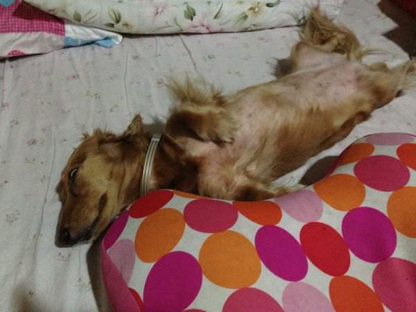 20251024-7bsn2 20251024-7bsn2