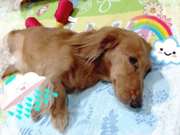 20251024-7v8qr 20251024-7v8qr