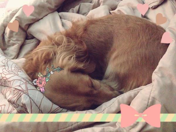 20251024-7zmmr 20251024-7zmmr