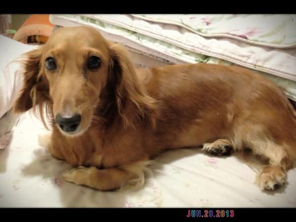 20251024-8s89q 20251024-8s89q