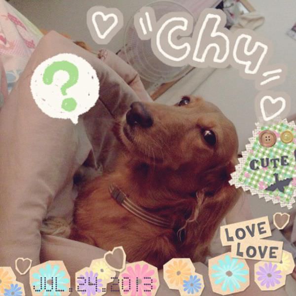 20251024-cp11o 20251024-cp11o